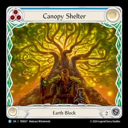 Canopy Shelter